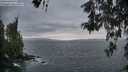 ./images/koeye/fitz-hugh/20260523/fitz-hugh20260523_055002M.jpg