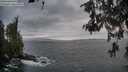 ./images/koeye/fitz-hugh/20260523/fitz-hugh20260523_055501M.jpg