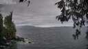 ./images/koeye/fitz-hugh/20260523/fitz-hugh20260523_060002M.jpg