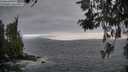 ./images/koeye/fitz-hugh/20260523/fitz-hugh20260523_061001M.jpg