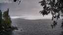 ./images/koeye/fitz-hugh/20260523/fitz-hugh20260523_061501M.jpg