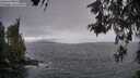 ./images/koeye/fitz-hugh/20260523/fitz-hugh20260523_062002M.jpg