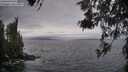 ./images/koeye/fitz-hugh/20260523/fitz-hugh20260523_064501M.jpg