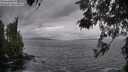 ./images/koeye/fitz-hugh/20260523/fitz-hugh20260523_071501M.jpg