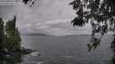 ./images/koeye/fitz-hugh/20260523/fitz-hugh20260523_072501M.jpg