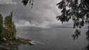 ./images/koeye/fitz-hugh/20260523/fitz-hugh20260523_092501M.jpg
