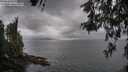 ./images/koeye/fitz-hugh/20260523/fitz-hugh20260523_094002M.jpg