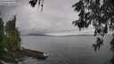 ./images/koeye/fitz-hugh/20260523/fitz-hugh20260523_104002M.jpg