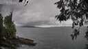 ./images/koeye/fitz-hugh/20260523/fitz-hugh20260523_110002M.jpg