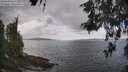 ./images/koeye/fitz-hugh/20260523/fitz-hugh20260523_113501M.jpg