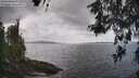 ./images/koeye/fitz-hugh/20260523/fitz-hugh20260523_114001M.jpg