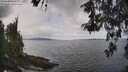 ./images/koeye/fitz-hugh/20260523/fitz-hugh20260523_114501M.jpg