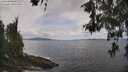 ./images/koeye/fitz-hugh/20260523/fitz-hugh20260523_115002M.jpg