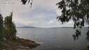 ./images/koeye/fitz-hugh/20260523/fitz-hugh20260523_115501M.jpg