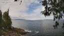 ./images/koeye/fitz-hugh/20260523/fitz-hugh20260523_120501M.jpg