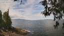 ./images/koeye/fitz-hugh/20260523/fitz-hugh20260523_121501M.jpg