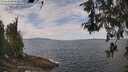 ./images/koeye/fitz-hugh/20260523/fitz-hugh20260523_122001M.jpg