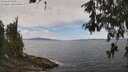 ./images/koeye/fitz-hugh/20260523/fitz-hugh20260523_124001M.jpg