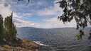 ./images/koeye/fitz-hugh/20260523/fitz-hugh20260523_130502M.jpg