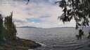 ./images/koeye/fitz-hugh/20260523/fitz-hugh20260523_131002M.jpg