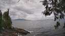 ./images/koeye/fitz-hugh/20260523/fitz-hugh20260523_135002M.jpg