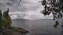 ./images/koeye/fitz-hugh/20260523/fitz-hugh20260523_141001M.jpg