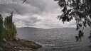 ./images/koeye/fitz-hugh/20260523/fitz-hugh20260523_141501M.jpg