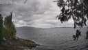 ./images/koeye/fitz-hugh/20260523/fitz-hugh20260523_143001M.jpg