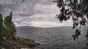./images/koeye/fitz-hugh/20260523/fitz-hugh20260523_144001M.jpg