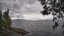 ./images/koeye/fitz-hugh/20260523/fitz-hugh20260523_145002M.jpg
