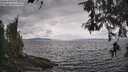 ./images/koeye/fitz-hugh/20260523/fitz-hugh20260523_150501M.jpg