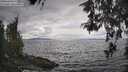 ./images/koeye/fitz-hugh/20260523/fitz-hugh20260523_151001M.jpg