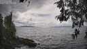 ./images/koeye/fitz-hugh/20260523/fitz-hugh20260523_152001M.jpg
