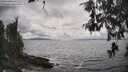 ./images/koeye/fitz-hugh/20260523/fitz-hugh20260523_153502M.jpg
