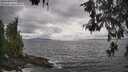 ./images/koeye/fitz-hugh/20260523/fitz-hugh20260523_155502M.jpg