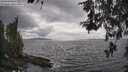 ./images/koeye/fitz-hugh/20260523/fitz-hugh20260523_161002M.jpg