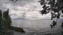 ./images/koeye/fitz-hugh/20260523/fitz-hugh20260523_164501M.jpg