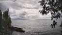 ./images/koeye/fitz-hugh/20260523/fitz-hugh20260523_165001M.jpg