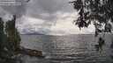 ./images/koeye/fitz-hugh/20260523/fitz-hugh20260523_171502M.jpg