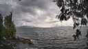 ./images/koeye/fitz-hugh/20260523/fitz-hugh20260523_174001M.jpg