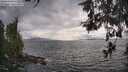 ./images/koeye/fitz-hugh/20260523/fitz-hugh20260523_175001M.jpg