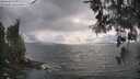 ./images/koeye/fitz-hugh/20260523/fitz-hugh20260523_180501M.jpg
