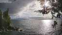 ./images/koeye/fitz-hugh/20260523/fitz-hugh20260523_183501M.jpg