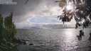 ./images/koeye/fitz-hugh/20260523/fitz-hugh20260523_184001M.jpg