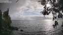 ./images/koeye/fitz-hugh/20260523/fitz-hugh20260523_184501M.jpg