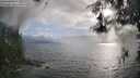 ./images/koeye/fitz-hugh/20260523/fitz-hugh20260523_185001M.jpg