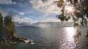 ./images/koeye/fitz-hugh/20260523/fitz-hugh20260523_190001M.jpg