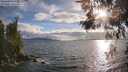 ./images/koeye/fitz-hugh/20260523/fitz-hugh20260523_190502M.jpg