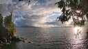 ./images/koeye/fitz-hugh/20260523/fitz-hugh20260523_194501M.jpg