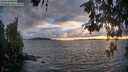 ./images/koeye/fitz-hugh/20260523/fitz-hugh20260523_205002M.jpg